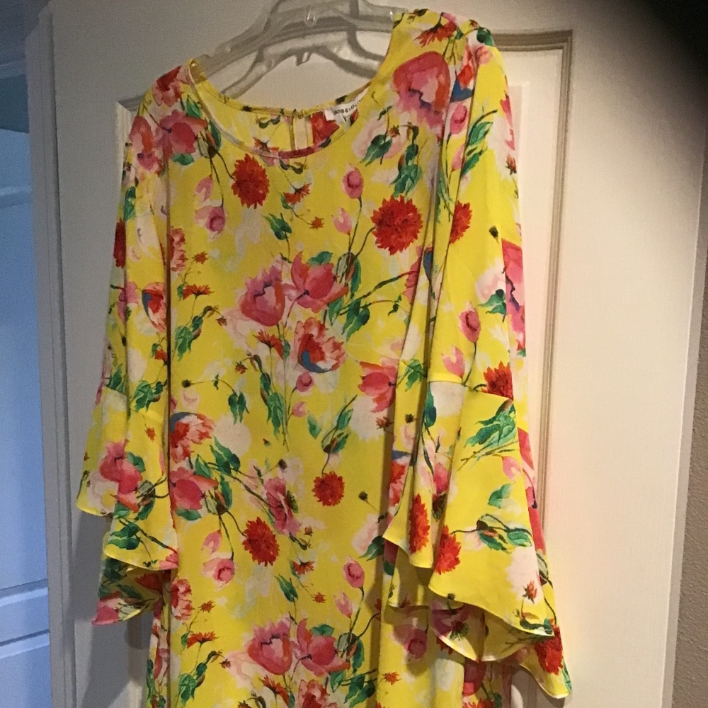 Rose + Olive woman’s size 2x shirt NWT